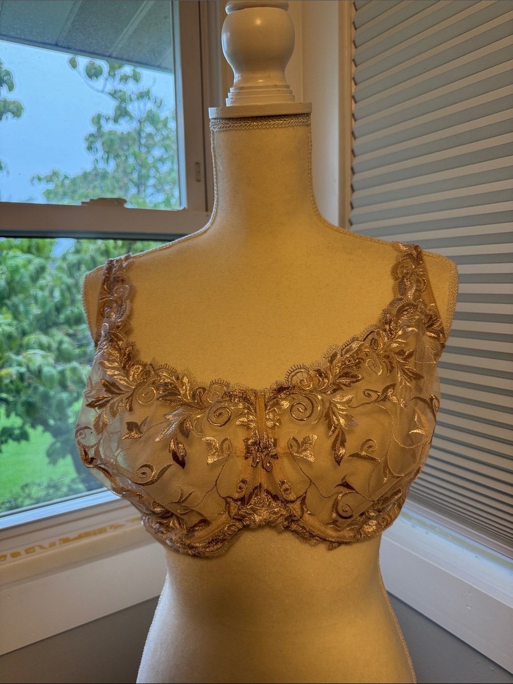 Soma 38 G Embroidered Lace Full-Coverage underwire Bra in Champagne